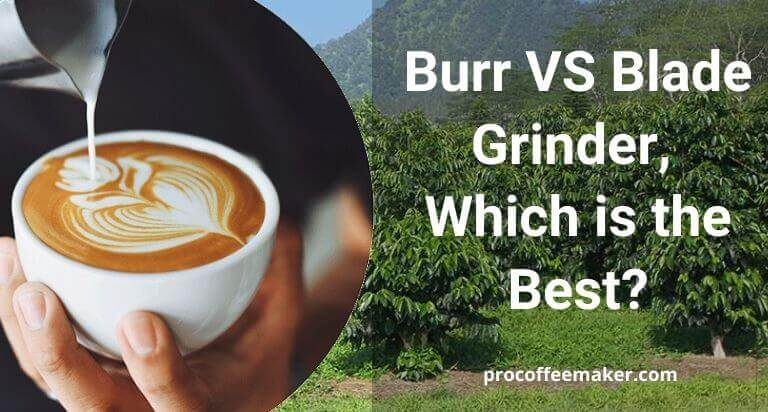 Burr VS Blade Grinder In 2023 | Which is Better