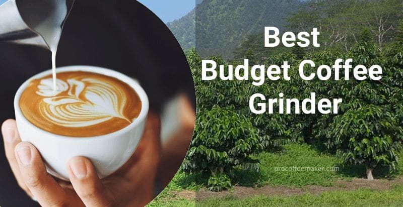 Best Budget Coffee Grinder